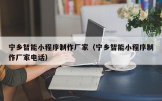 莘县宁乡智能小程序制作厂家（宁乡智能小程序制作厂家电话）