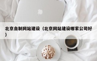 莘县北京自制网站建设（北京网站建设哪家公司好）